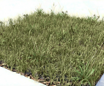 Modern The Grass-ID:290750984
