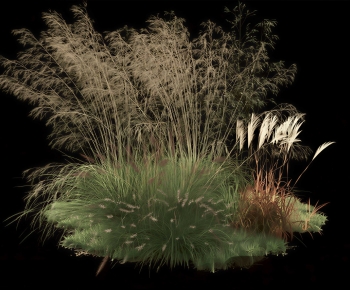 Modern Flowers And Grass-ID:697197919