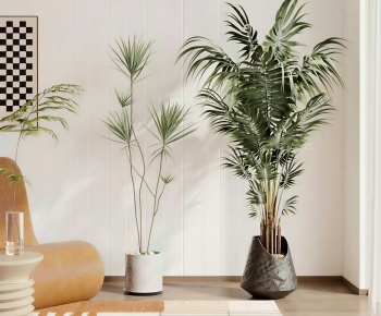 Modern Ground Green Plant Potted Plants-ID:856230979