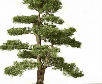 Modern Tree-ID:915055047