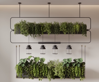 Modern Vine-ID:145208885