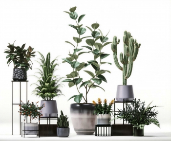 Modern Potted Green Plant-ID:253619917