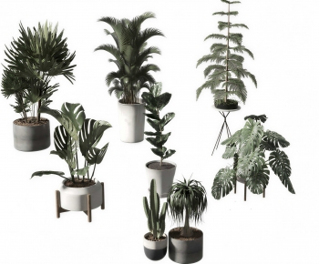 Modern Potted Green Plant-ID:485961911