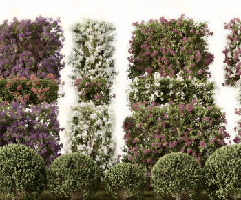 Modern Shrubbery-ID:409946928