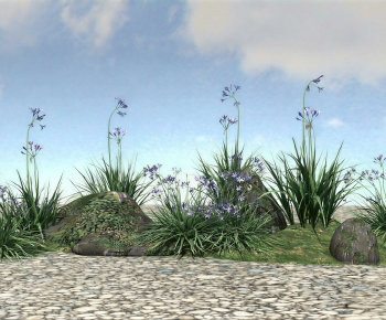 Modern Plant Landscaping-ID:408840895