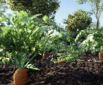 Modern Crop-ID:662805088