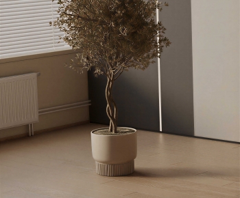Modern Ground Green Plant Potted Plants-ID:246721983