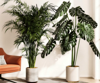 Modern Ground Green Plant Potted Plants-ID:410026076