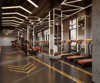 Modern Gym-ID:564364916