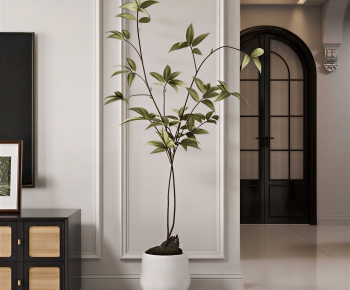 Modern Ground Green Plant Potted Plants-ID:345976112
