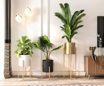 Modern Potted Green Plant-ID:432323936