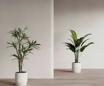 Modern Ground Green Plant Potted Plants-ID:102469936