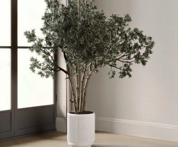 Modern Ground Green Plant Potted Plants-ID:321059266