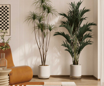 Modern Ground Green Plant Potted Plants-ID:916632895