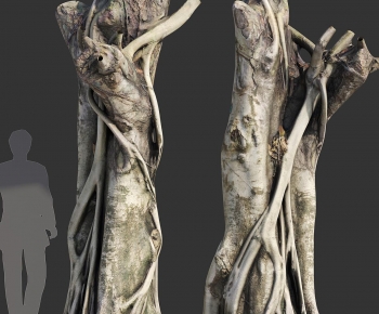 Modern Tree-ID:369570388