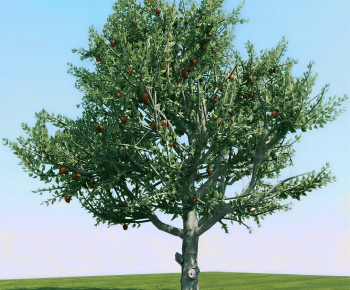 Modern Tree/shrub/grass-ID:422719963