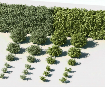 Modern Shrubbery-ID:612886915