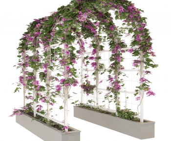 Modern Vine-ID:706778054