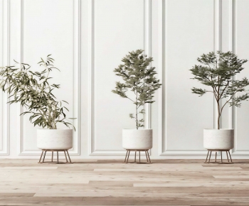 Modern Ground Green Plant Potted Plants-ID:104651931