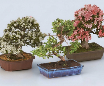 New Chinese Style Potted Green Plant-ID:654530576