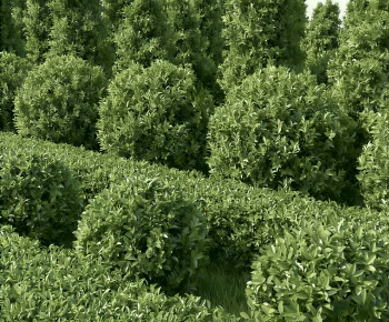 Modern Shrubbery-ID:787004953