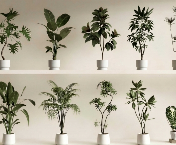 Modern Ground Green Plant Potted Plants-ID:807147039