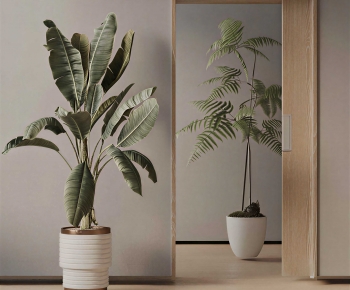 Modern Ground Green Plant Potted Plants-ID:865650894