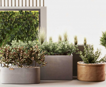 Modern Ground Green Plant Potted Plants-ID:444925074