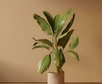 Modern Ground Green Plant Potted Plants-ID:686491014