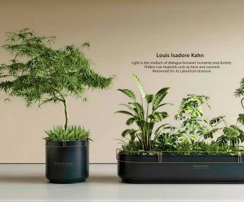 Modern Flower Bed, Flower Bowl, Flower Box-ID:974682099