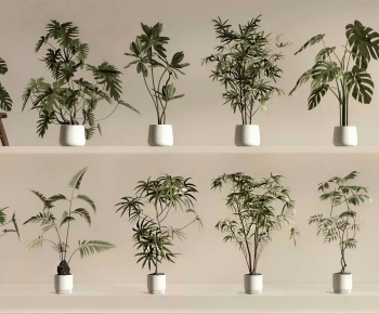 Modern Ground Green Plant Potted Plants-ID:141567957