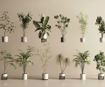 Modern Ground Green Plant Potted Plants-ID:197927006
