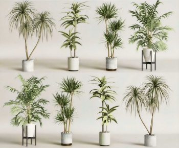 Modern Ground Green Plant Potted Plants-ID:363706115