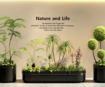 Modern Flower Bed, Flower Bowl, Flower Box-ID:485291001