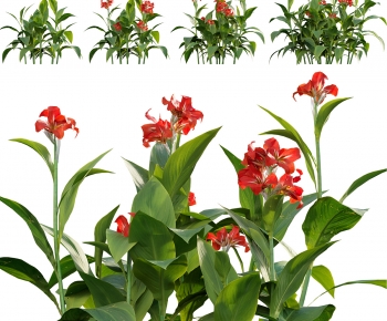 Modern Plant-ID:492301059