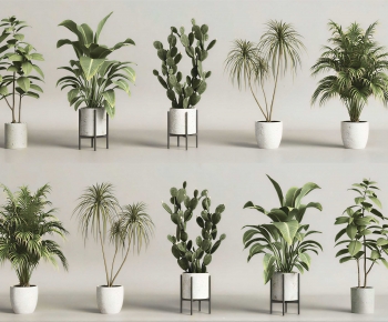 Modern Ground Green Plant Potted Plants-ID:715210416
