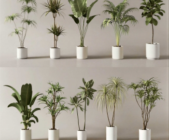Modern Ground Green Plant Potted Plants-ID:511101013