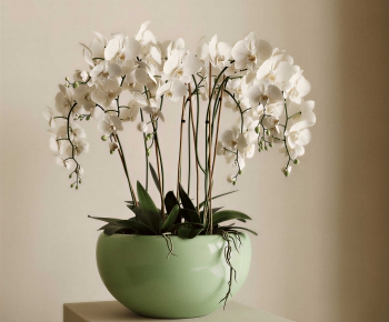Modern Potted Green Plant-ID:285222059