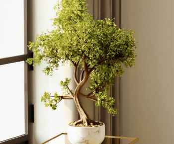 Modern Desktop Plant-ID:912873987