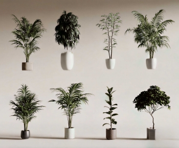 Modern Ground Green Plant Potted Plants-ID:878338104
