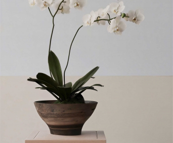 Modern Ground Green Plant Potted Plants-ID:536365992