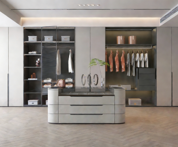 Modern Clothes Storage Area-ID:272538905