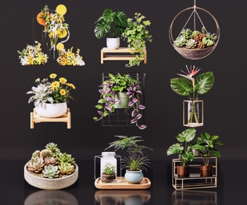 Modern Potted Green Plant-ID:695909021