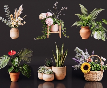 Modern Ground Green Plant Potted Plants-ID:269471885