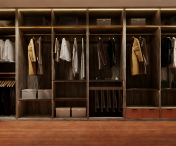 Modern Clothes Storage Area-ID:701042895