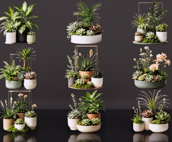 Modern Ground Green Plant Potted Plants-ID:366451982