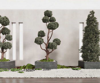 Modern Ground Green Plant Potted Plants-ID:809554106