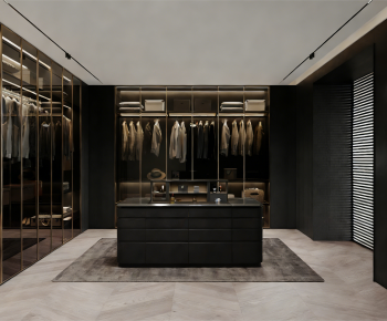 Modern Clothes Storage Area-ID:204910042