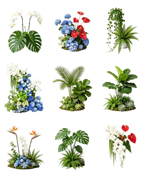 ModernFlowers