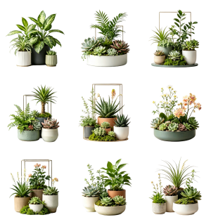 ModernFlowers